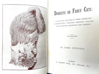 Domestic or Fancy Cats: A Practical Treatise on Their Antiquity, Domestication, Varieties, Breeding, Management, Diseases, Exhibition and Judging