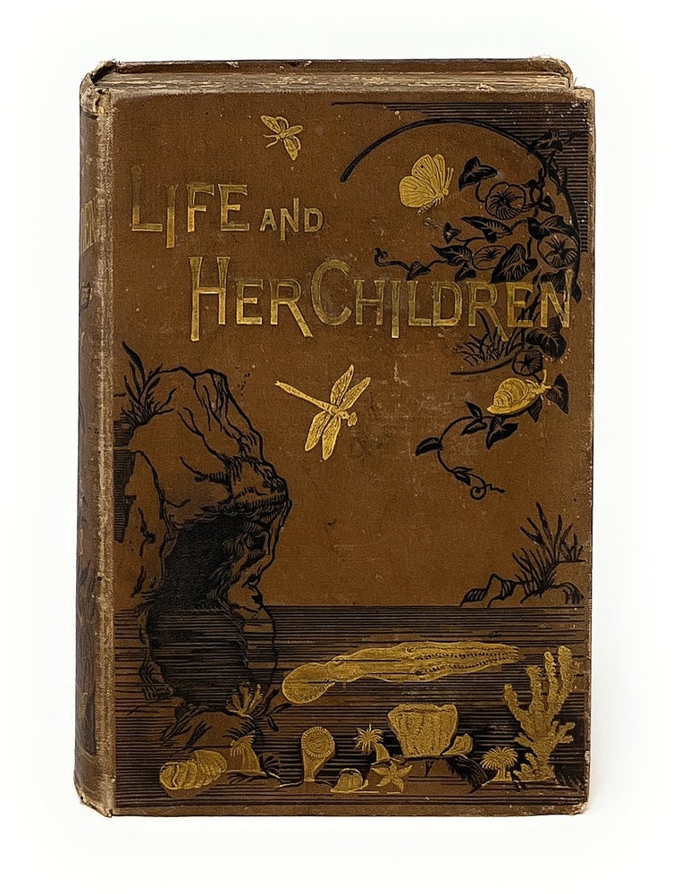 Item #13383 Life and Her Children: Glimpses of Animal Life from the Amoeba to the Insects. Arabella B. Buckley, Mrs. Arabella Burton Fisher.