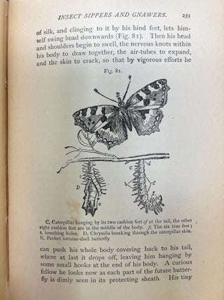 Life and Her Children: Glimpses of Animal Life from the Amoeba to the Insects