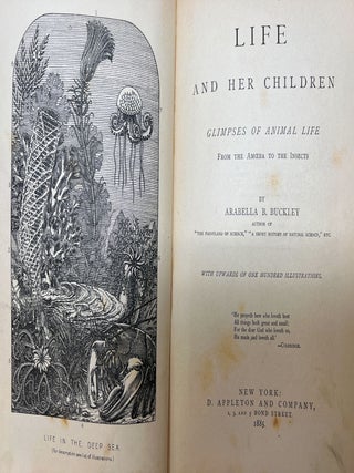 Life and Her Children: Glimpses of Animal Life from the Amoeba to the Insects