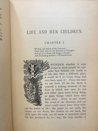 Life and Her Children: Glimpses of Animal Life from the Amoeba to the Insects