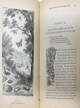 Life and Her Children: Glimpses of Animal Life from the Amoeba to the Insects