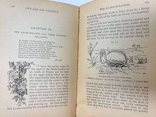 Life and Her Children: Glimpses of Animal Life from the Amoeba to the Insects