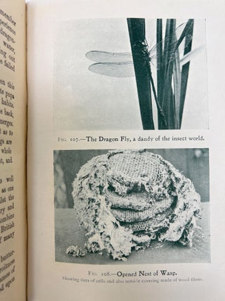 The Boy's Own Nature Book FOLD-OUT CHROMOLITHOGRAPHIC PLATES