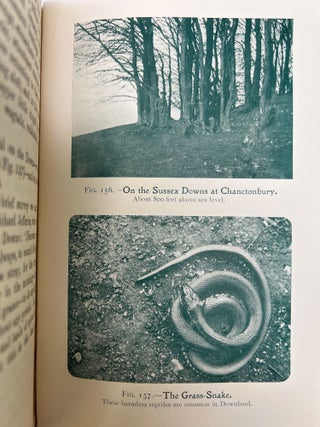 The Boy's Own Nature Book FOLD-OUT CHROMOLITHOGRAPHIC PLATES