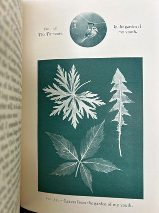 The Boy's Own Nature Book FOLD-OUT CHROMOLITHOGRAPHIC PLATES
