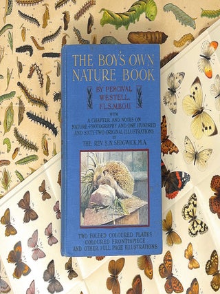 The Boy's Own Nature Book FOLD-OUT CHROMOLITHOGRAPHIC PLATES