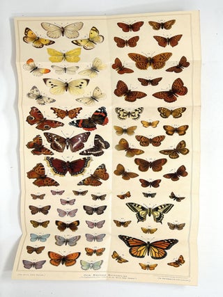 The Boy's Own Nature Book FOLD-OUT CHROMOLITHOGRAPHIC PLATES