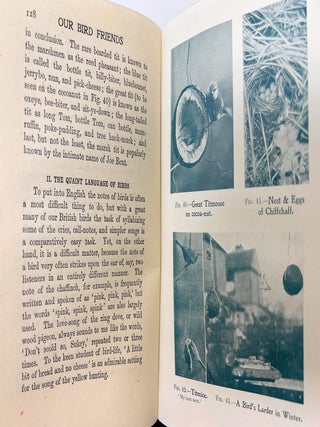 The Boy's Own Nature Book FOLD-OUT CHROMOLITHOGRAPHIC PLATES