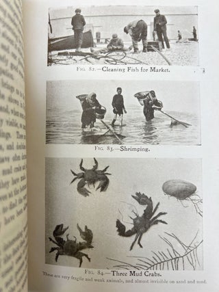 The Boy's Own Nature Book FOLD-OUT CHROMOLITHOGRAPHIC PLATES