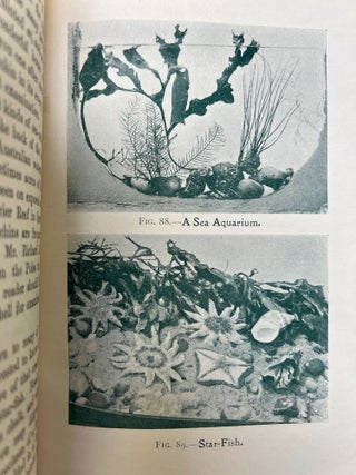 The Boy's Own Nature Book FOLD-OUT CHROMOLITHOGRAPHIC PLATES