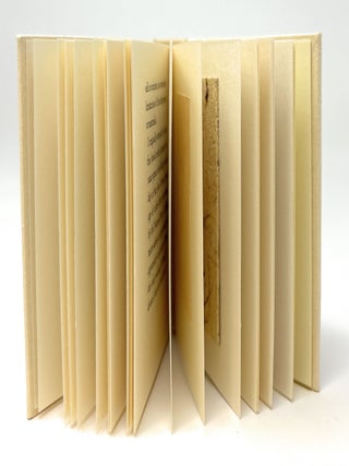El Autobus Azul: Handmade Papers from Costa Rica LIMITED EDITON