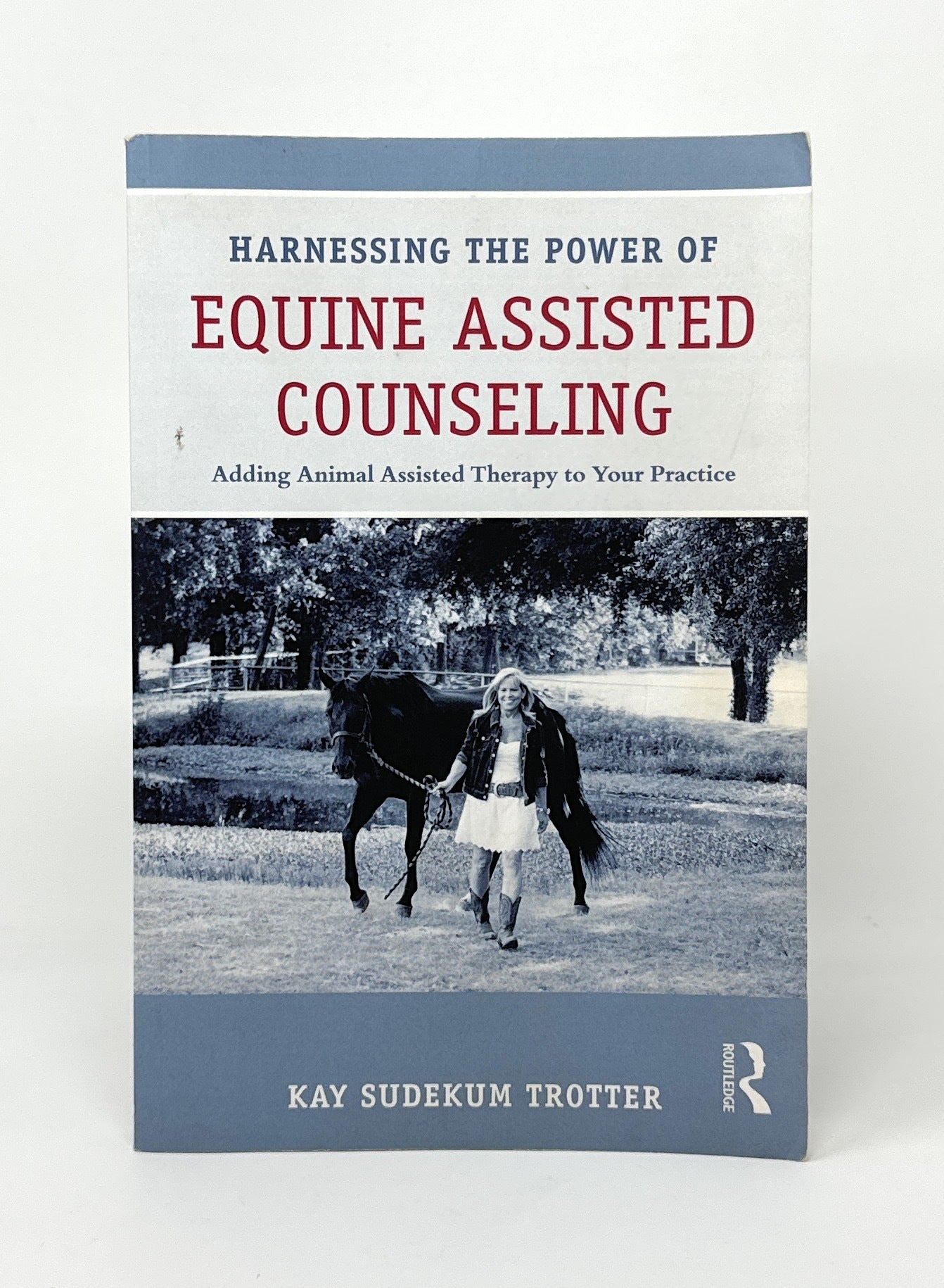 Harnessing The Power Of Equine Assisted Counseling Adding Animal harnessing-the-power-of-equine-assisted-counseling-adding-animal