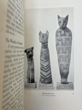 The Myths of Ancient Egypt