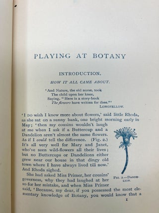 Playing at Botany