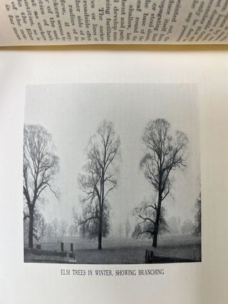 Trees and How They Grow FIRST EDITION