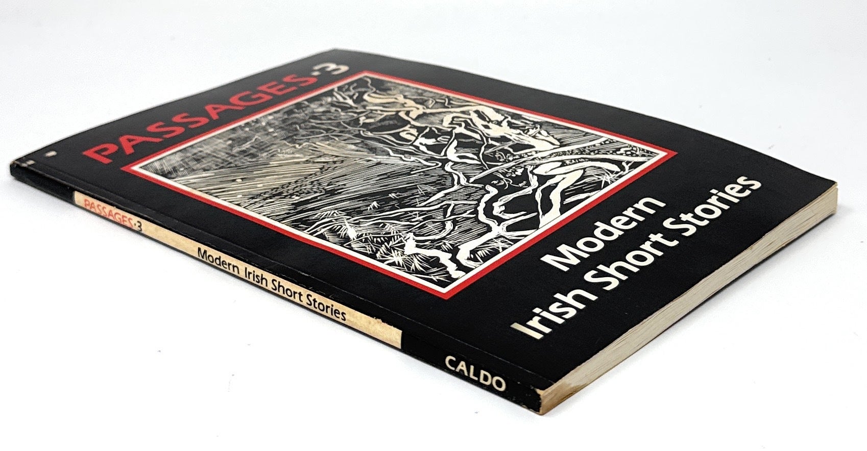 Passages 3: Modern Irish Short Stories | Michael Carragher, Oscar