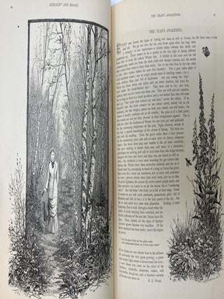 Sunlight and Shade: Being Poems and Pictures of Life and Nature