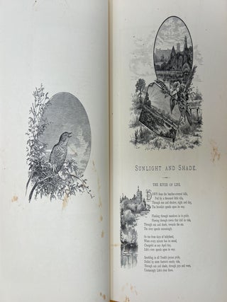 Sunlight and Shade: Being Poems and Pictures of Life and Nature