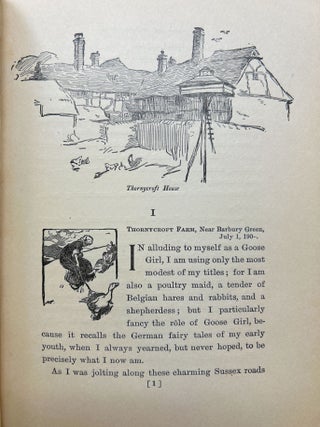 The Diary of a Goose Girl FIRST EDITION
