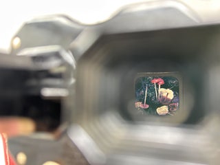 Mushrooms in Their Natural Habitats, with Stereoscope and 33 Stereographic Reels FIRST EDITION
