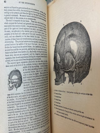 A System of Phrenology