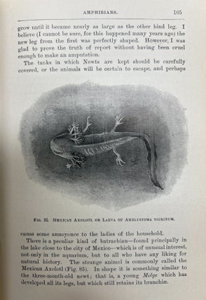 Fresh-Water Aquaria: Their Construction, Arrangement, and Management, with Full Information as to the Best Water-Plants and Live Stock to be Kept, How and Where to Obtain Them, and How to Keep Them in Health