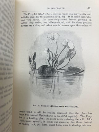Fresh-Water Aquaria: Their Construction, Arrangement, and Management, with Full Information as to the Best Water-Plants and Live Stock to be Kept, How and Where to Obtain Them, and How to Keep Them in Health