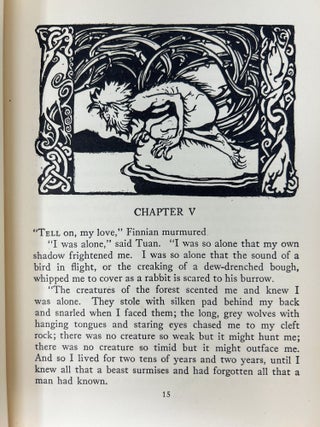 Irish Fairy Tales