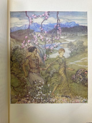 Irish Fairy Tales