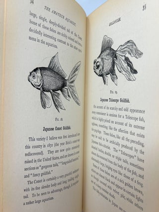 The Amateur Aquarist: How to Equip and Maintain a Self-Sustaining Aquarium