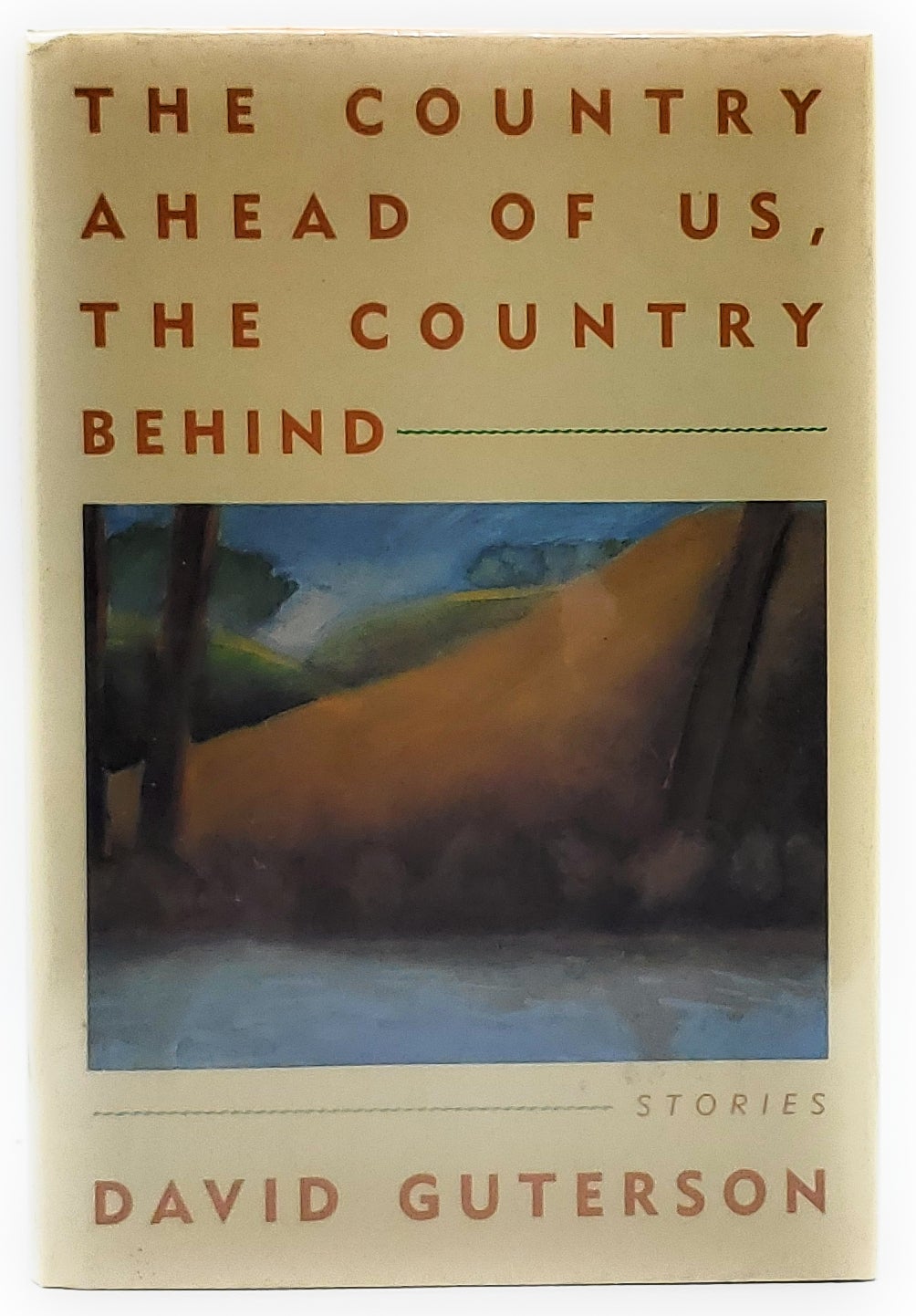 The Country Ahead of Us the Country Behind Stories FIRST EDITION by David Guterson on Underground Books