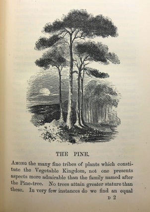 The Trees of Old England: Sketches of the Aspects, Associations, and Uses of Those Which Constitute the Forests, and Give Effect to the Scenery of Our Native Country