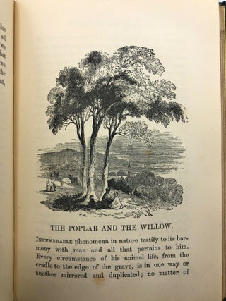 The Trees of Old England: Sketches of the Aspects, Associations, and Uses of Those Which Constitute the Forests, and Give Effect to the Scenery of Our Native Country