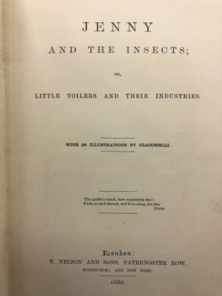 Jenny and the Insects; Or, Little Toilers and Their Industries