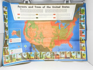 Item #9569 Wood 72: Forests and Trees of the United States [Map]. The American Forest Institute