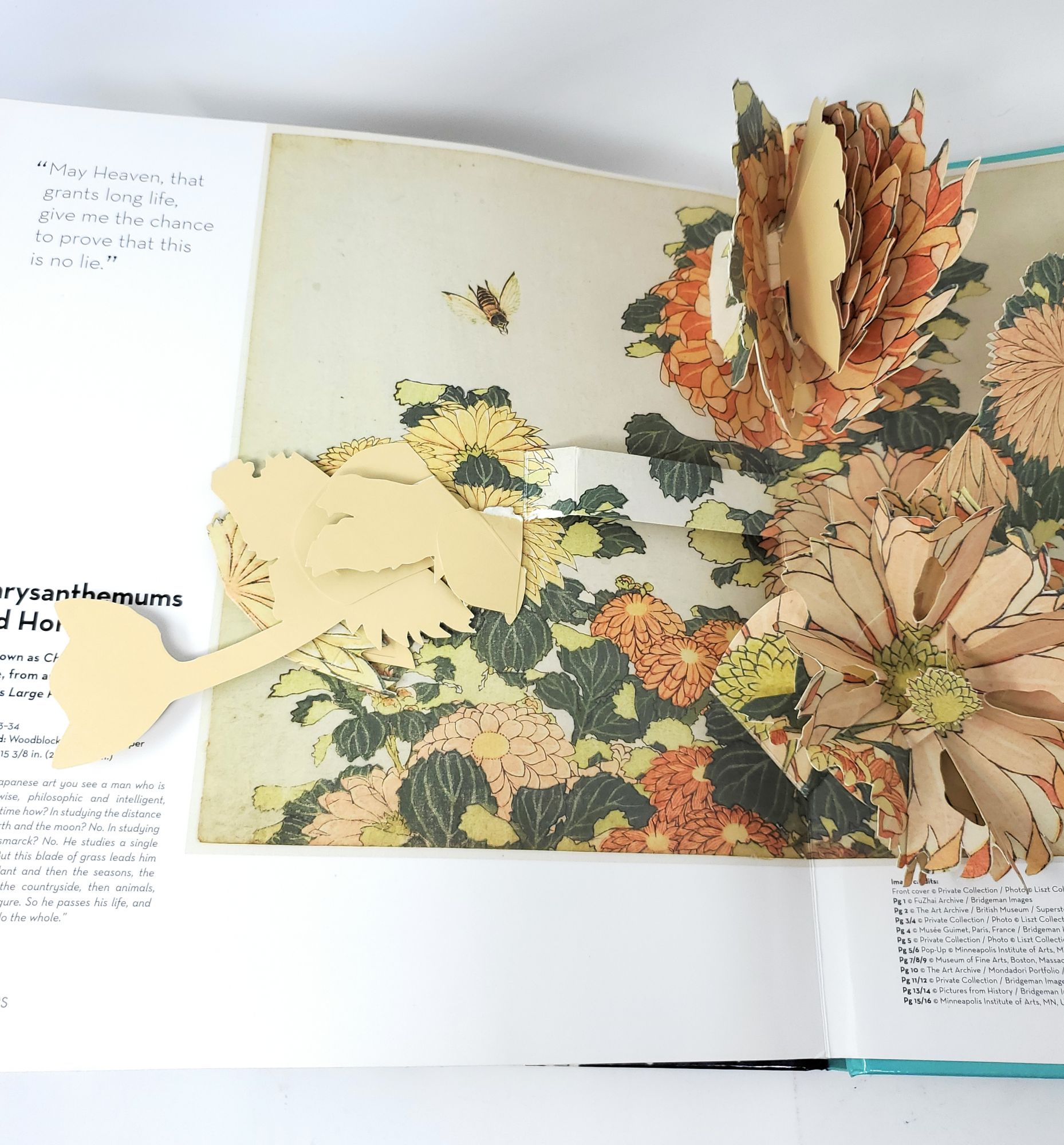 Hokusai Pop-Ups by Courtney Watson McCarthy on Underground Books